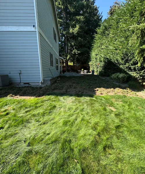 Patios & Pavers in Kenmore 
